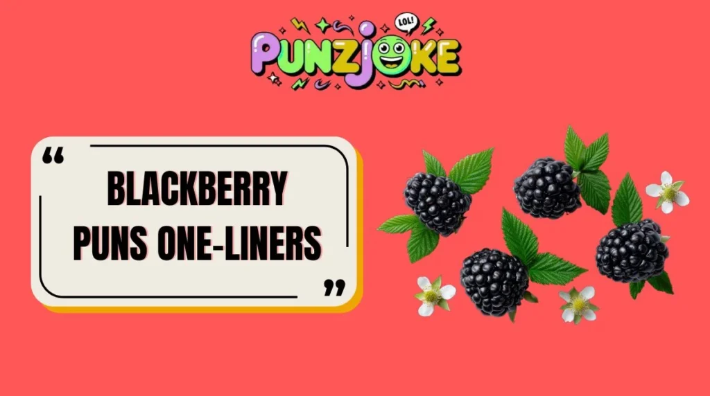 Blackberry Puns One-Liners