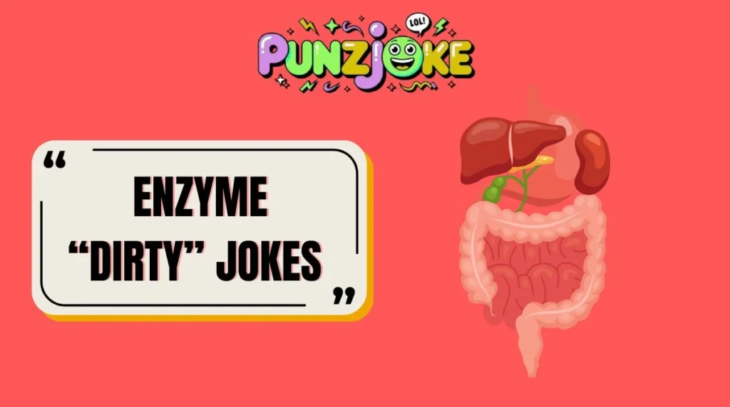 Enzyme “Dirty” Jokes