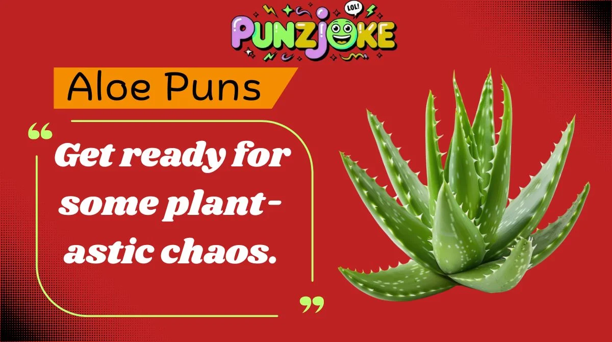 Aloe Puns
