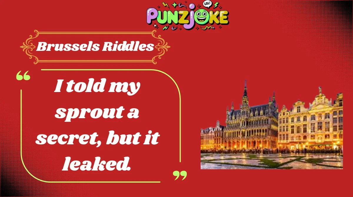 Brussels Riddles