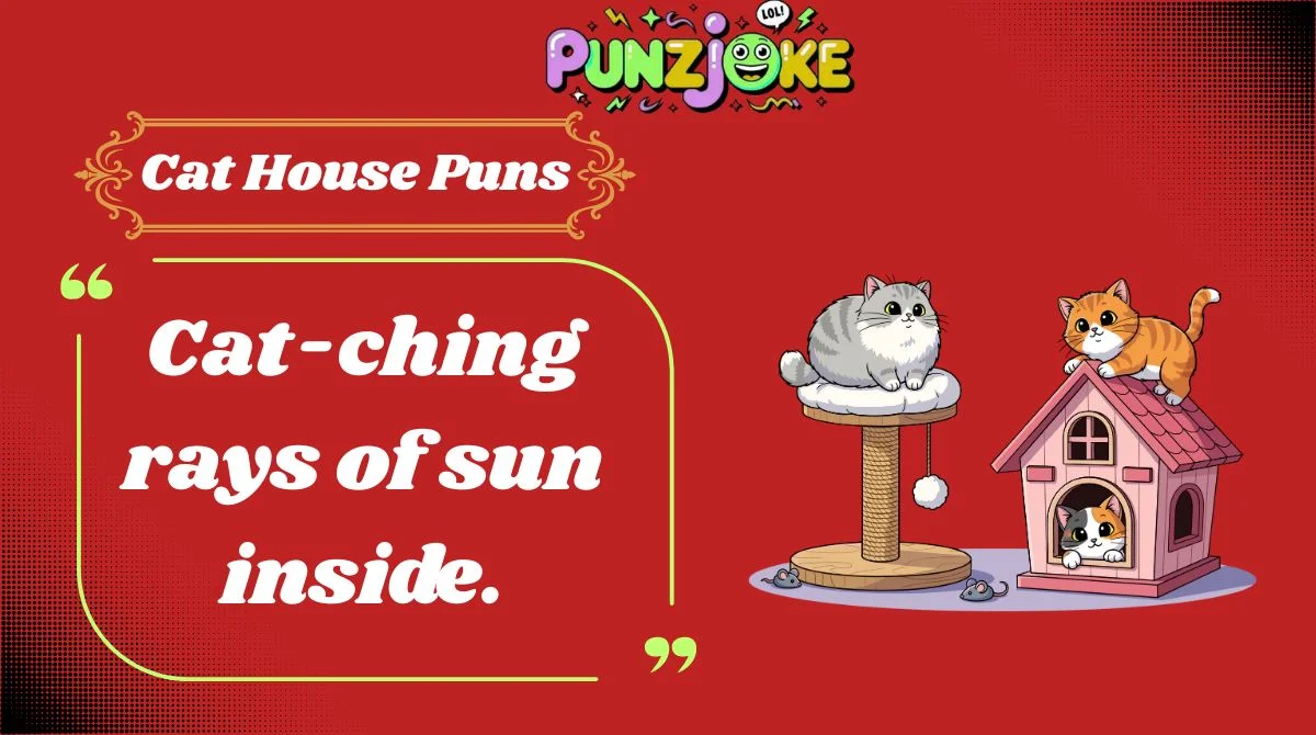 Cat House Puns