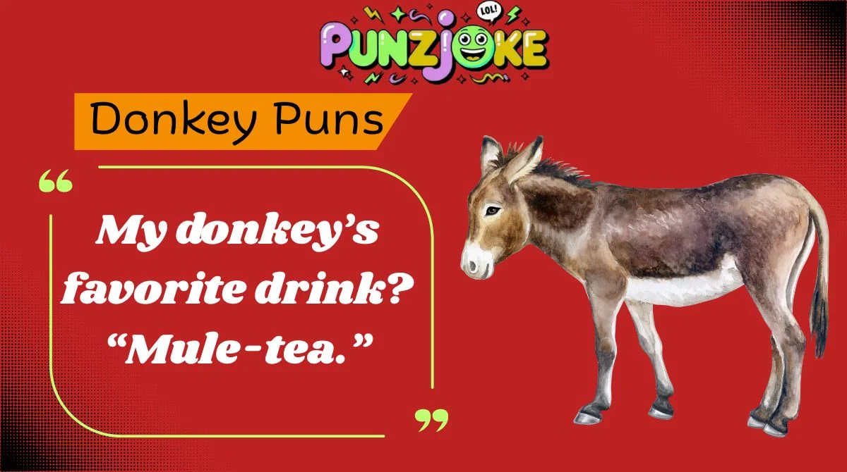 Donkey Puns