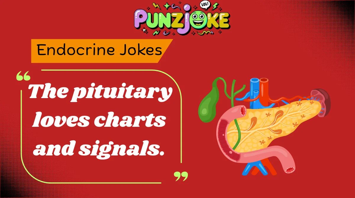 Endocrine Jokes