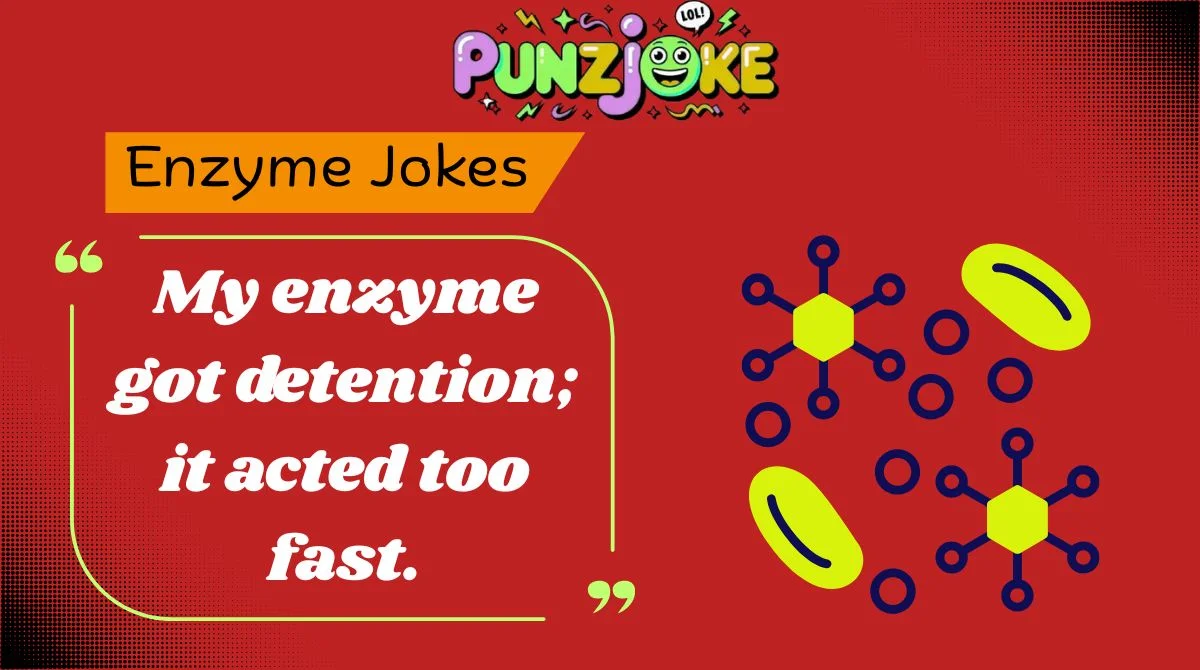 Enzyme Jokes