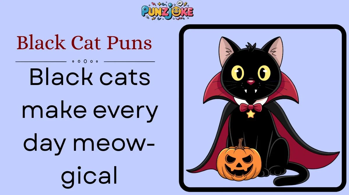 Black Cat Puns