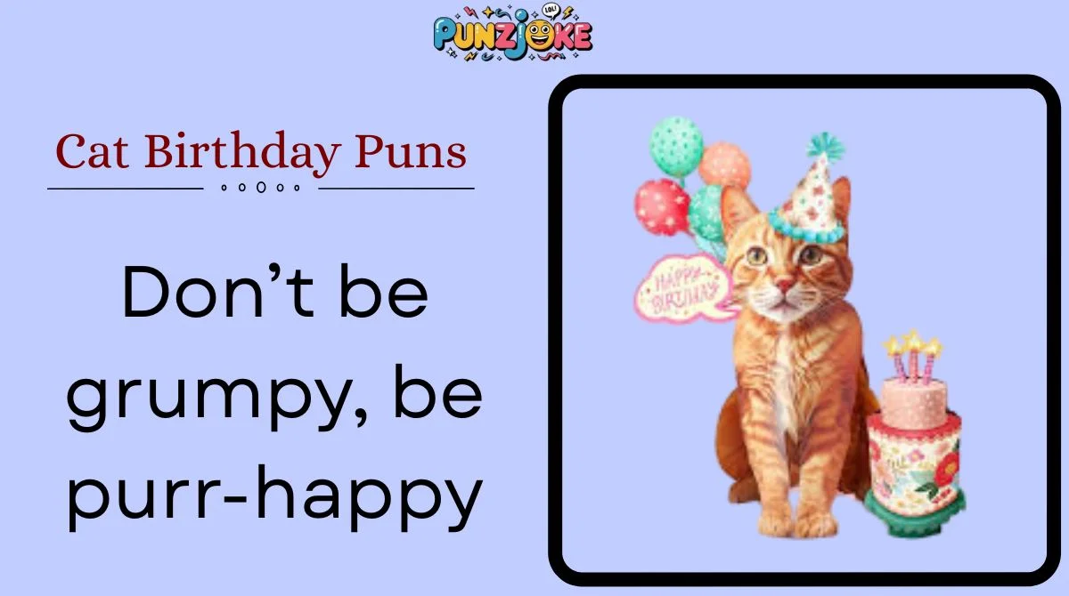 Cat Birthday Puns